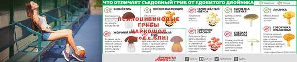 первитин Надым