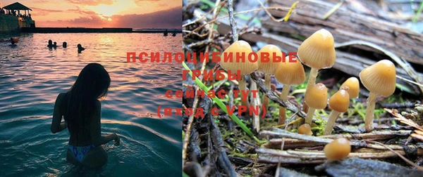 шишки Наволоки