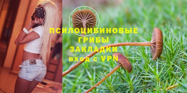 шишки Наволоки