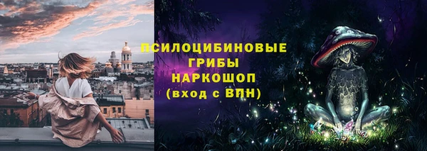 шишки Наволоки